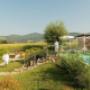 Ring Bio Pool Wilfinger