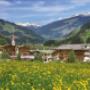 Landhotel Zenzerwirt - Hotel mit Blumenwiese