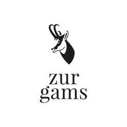 zurgams Kommunikationsagentur GmbH