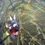 Tandem Kurt Paragleiten Tandemflug|Montafon|Vorarlberg|Österreich in 6793 Gaschurn Tandem Kurt Paragleiten Tandemflug|Montafon|Vorarlberg|Österreich in 6793 Gaschurn