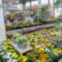OBI Gartencenter Neusiedl-See OBI Gartencenter Neusiedl-See