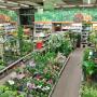 OBI Markt Unterwart Gartencenter OBI Markt Unterwart Gartencenter