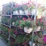 OBI Markt Unterwart Blumen vor dem Haus OBI Markt Unterwart Blumen vor dem Haus