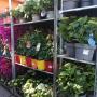 OBI Markt Unterwart Blumen vor dem Haus OBI Markt Unterwart Blumen vor dem Haus