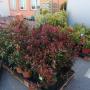 OBI Markt Unterwart Blumen vor dem Haus OBI Markt Unterwart Blumen vor dem Haus