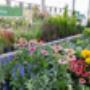 OBI Gartencenter Spittal-Drau OBI Gartencenter Spittal-Drau