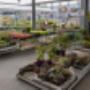 OBI Gartencenter Baden OBI Gartencenter Baden