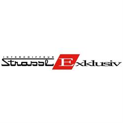 STRASSL HUBATSCHEK GESMBH
