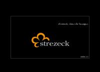 Strezeck Hard - The Room Of Living