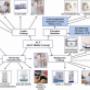Bodywrapping, Anti Cellulite Concept, wien Bodywrapping, Anti Cellulite Concept, wien