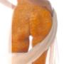cellulite po, cellulite training, anti cellulite t cellulite po, cellulite training, anti cellulite t