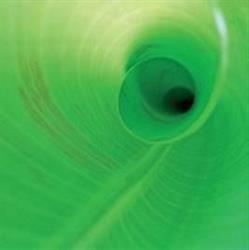 Greentec Gartengestaltungen GmbH