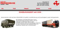 Website von Gebrüder Paulischin