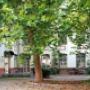 GLTP Grassner Lenz Thewanger & Partner 4020