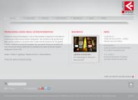 Website von Welskraft - Technologie Holding GmbH