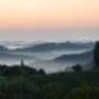 Weingut Regele