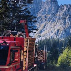 Golob Transporte und Holzernte Holzschlägerung