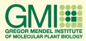 Gmi - Gregor-Mendel-Institut Für Molekulare Pflanzenbiologie GmbH