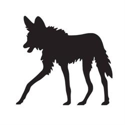 STEPPENWOLF e.U.