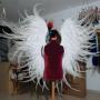 Von einem Besucher am 29.11.2016 hochgeladen - Feder Flügel für die Münze Österreich nach Viktoria Secret Von einem Besucher am 29.11.2016 hochgeladen - Feder Flügel für die Münze Österreich nach Viktoria Secret