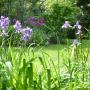 Gartengestaltung Ing. Gertraud Bauer Gartengestaltung Ing. Gertraud Bauer