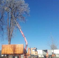 Lks Land- und Kommunaldienst Suschetz GmbH