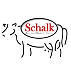 Schalk Nutztiere - Livestock Export