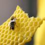 # 3