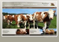 Ameco Handelsgesellschaft m.b.H.
