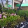 BLUMEN und PFLANZEN im LAGERHAUS WÖRGL