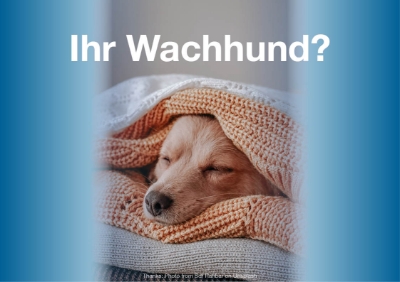 wachhund altini sicherheit