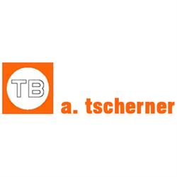 Ing. Anton Tscherner