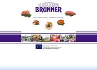 Website von Fleischerei Brunner GmbH