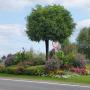 Stillfrieder Forst u Gartenbau in Stillfried - Außenansicht