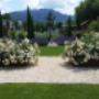 David Calzone Gartengestaltung in 6832 Sulz
