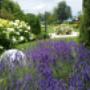 David Calzone Gartengestaltung in 6832 Sulz