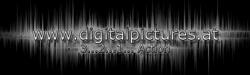 Robert Allinger - Pressefoto Robert Allinger