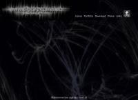 Website von Robert Allinger - Pressefoto Robert Allinger