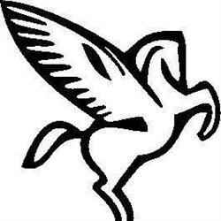 Dipl.-Ing. Dr. Christian Brunner - Pegasus Systems