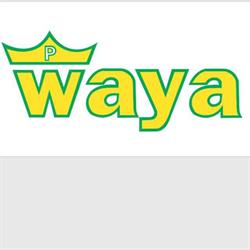 Cafe-Restaurant Waya Handelsges.m.b.h. & Co KEG