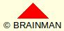 BRAINMAN Harald Lämmermeyer KG