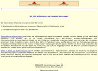 Website von BRAINMAN Harald Lämmermeyer KG