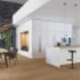 Faulmann & Faulmann GmbH