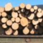 Sägewerk Dax KG in 5204 Straßwalchen - Holz Sägewerk Dax KG in 5204 Straßwalchen - Holz