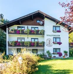 Waldpension Schieflling am See