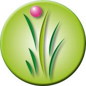 Just Life Energiearbeit e.U. - Roithinger Maria