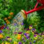 Blumenstube Claudia Inh Claudia Sampl