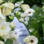 Blumenstube Claudia Inh Claudia Sampl