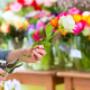 Blumenstube Claudia Inh Claudia Sampl