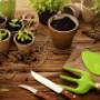 Blumenstube Claudia Inh Claudia Sampl